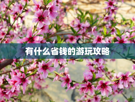有什么省钱的游玩攻略