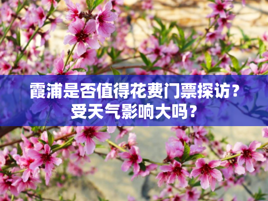 霞浦是否值得花费门票探访？受天气影响大吗？