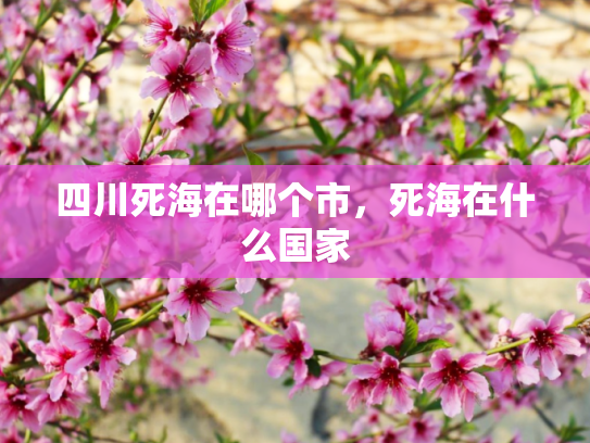 四川死海在哪个市，死海在什么国家