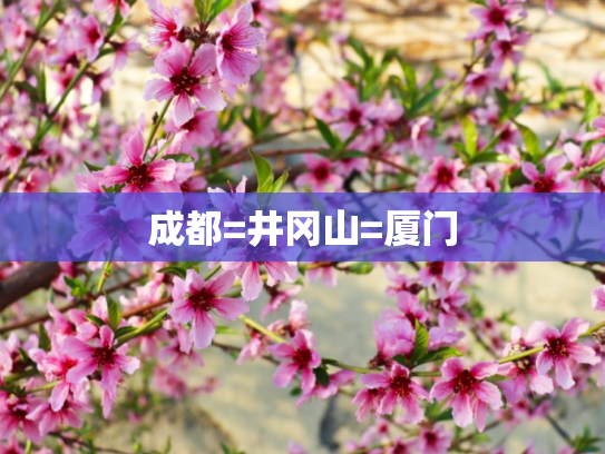 成都=井冈山=厦门