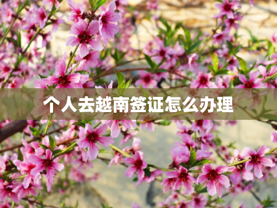 个人去越南签证怎么办理