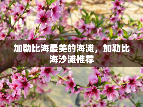 加勒比海最美的海滩，加勒比海沙滩推荐