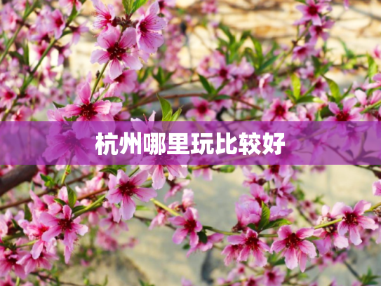 杭州哪里玩比较好