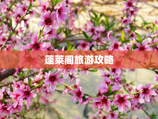 蓬莱阁旅游攻略