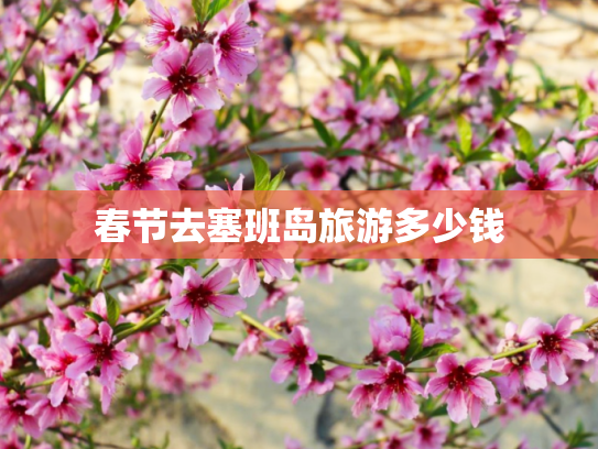 春节去塞班岛旅游多少钱