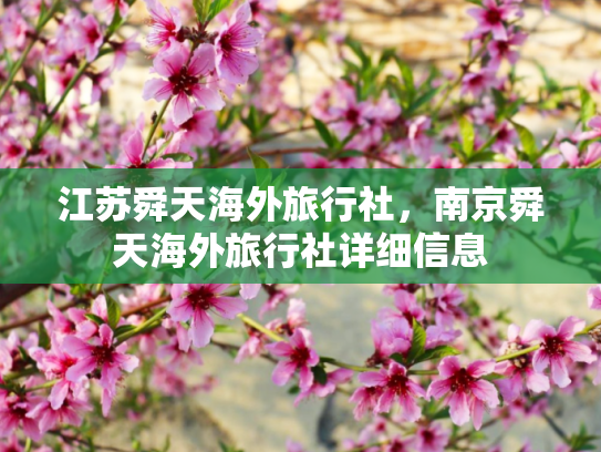 江苏舜天海外旅行社，南京舜天海外旅行社详细信息