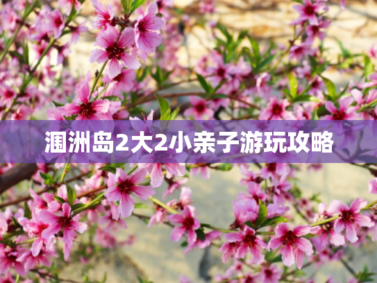 涠洲岛2大2小亲子游玩攻略