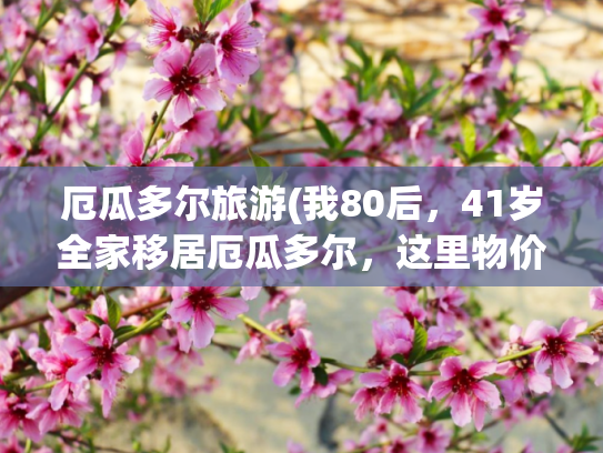 厄瓜多尔旅游(我80后，41岁全家移居厄瓜多尔，这里物价很低，500美金能租别墅)