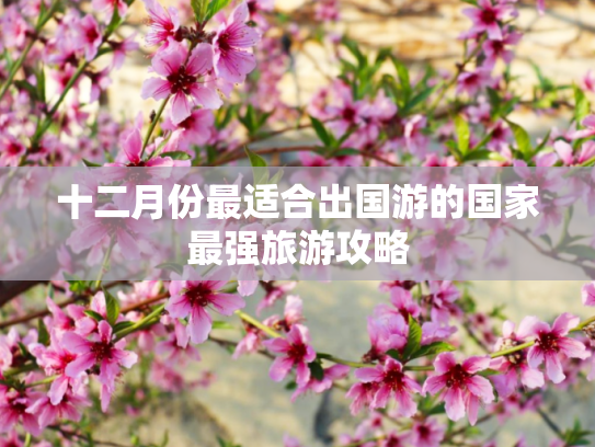 十二月份最适合出国游的国家最强旅游攻略