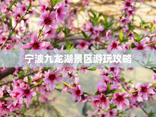 宁波九龙湖景区游玩攻略