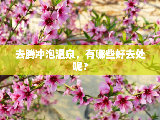 去腾冲泡温泉，有哪些好去处呢？