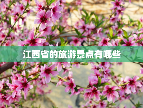 江西省的旅游景点有哪些