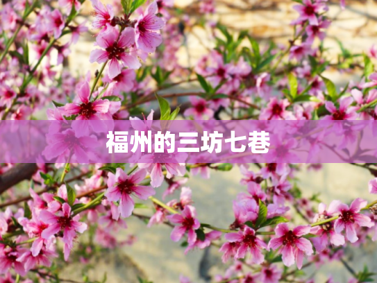 福州的三坊七巷