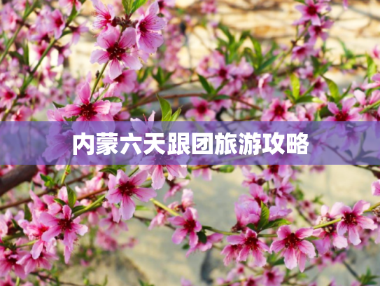 内蒙六天跟团旅游攻略