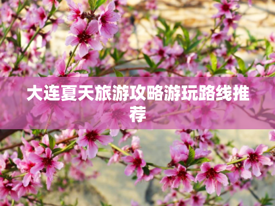 大连夏天旅游攻略游玩路线推荐