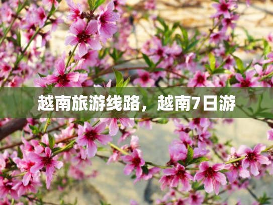 越南旅游线路，越南7日游