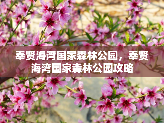 奉贤海湾国家森林公园，奉贤海湾国家森林公园攻略