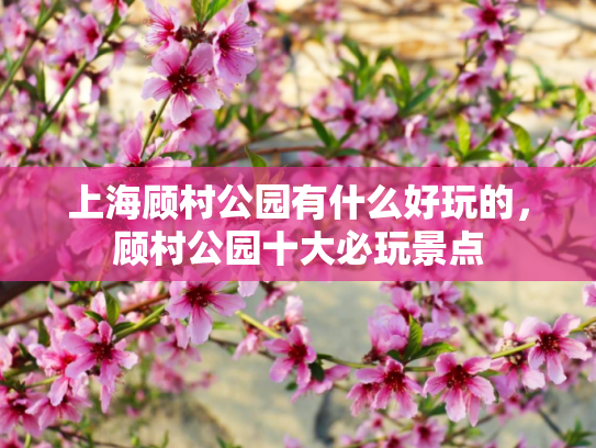 上海顾村公园有什么好玩的，顾村公园十大必玩景点