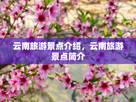 云南旅游景点介绍，云南旅游景点简介