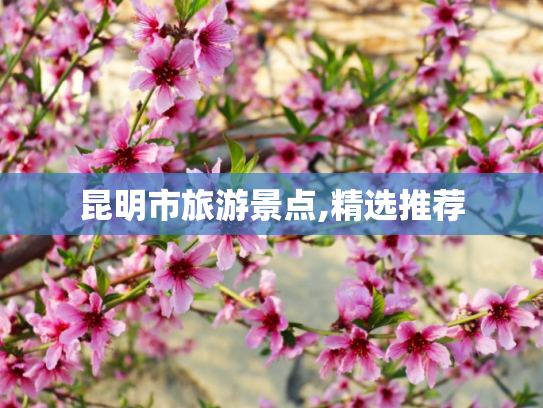 昆明市旅游景点,精选推荐