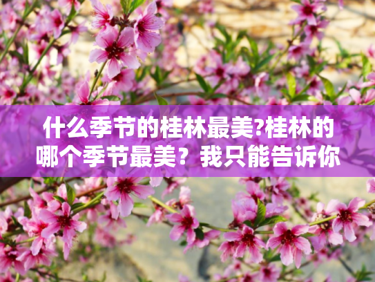 什么季节的桂林最美?桂林的哪个季节最美？我只能告诉你桂林哪个积极都美！