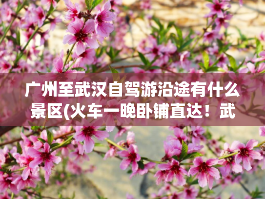 广州至武汉自驾游沿途有什么景区(火车一晚卧铺直达！武汉出发，这些地方景美又好玩！)