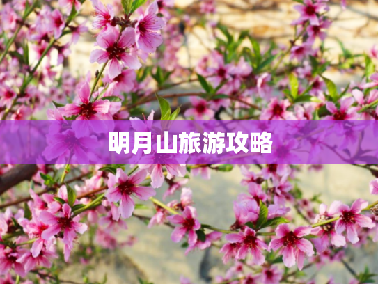 明月山旅游攻略