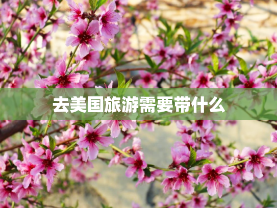 去美国旅游需要带什么