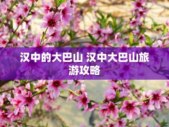 汉中的大巴山 汉中大巴山旅游攻略