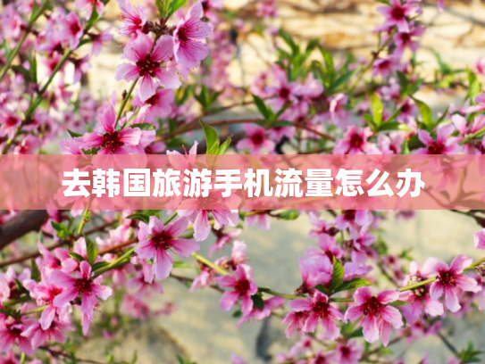 去韩国旅游手机流量怎么办