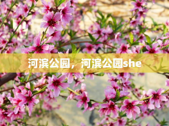 河滨公园，河滨公园she