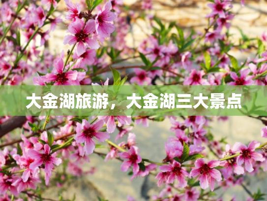 大金湖旅游，大金湖三大景点