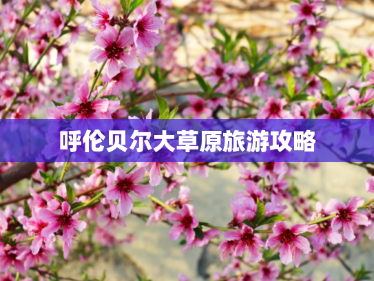 呼伦贝尔大草原旅游攻略