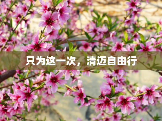 只为这一次，清迈自由行