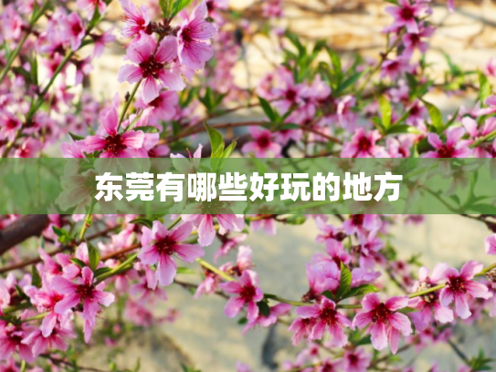 东莞有哪些好玩的地方