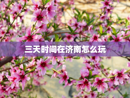三天时间在济南怎么玩