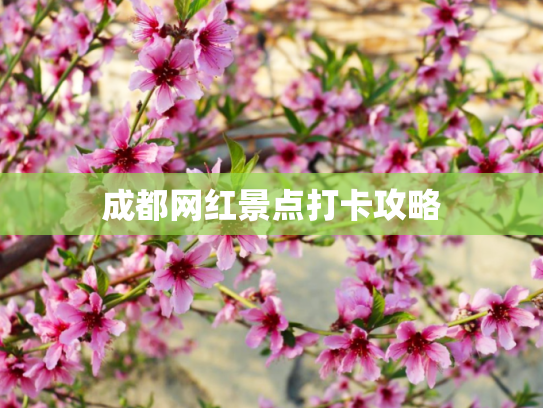 成都网红景点打卡攻略