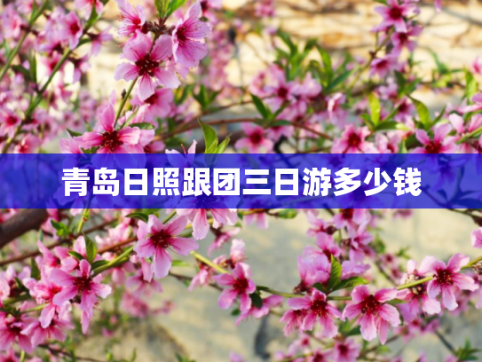 青岛日照跟团三日游多少钱