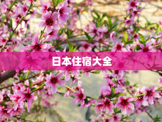 日本住宿大全