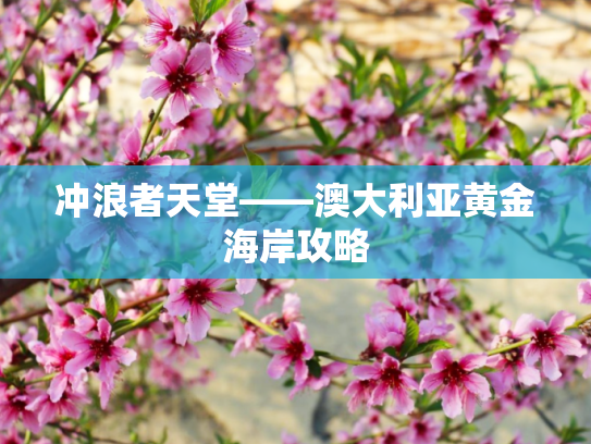 冲浪者天堂——澳大利亚黄金海岸攻略