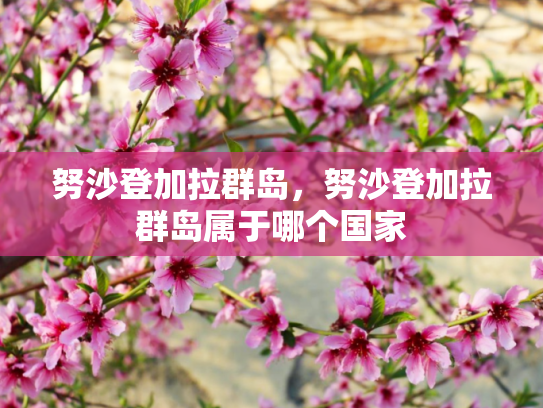 努沙登加拉群岛，努沙登加拉群岛属于哪个国家