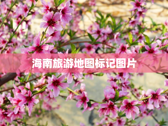 海南旅游地图标记图片