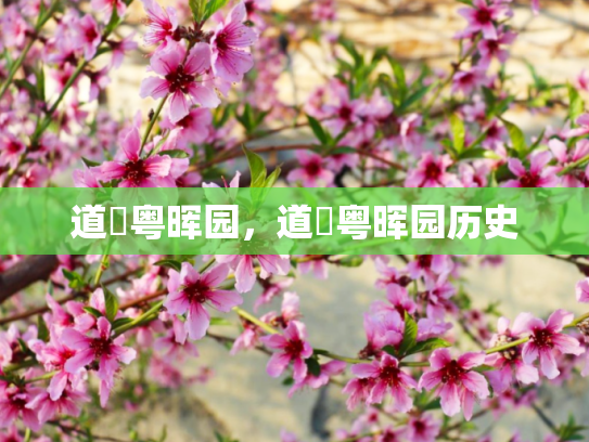 道滘粤晖园，道滘粤晖园历史