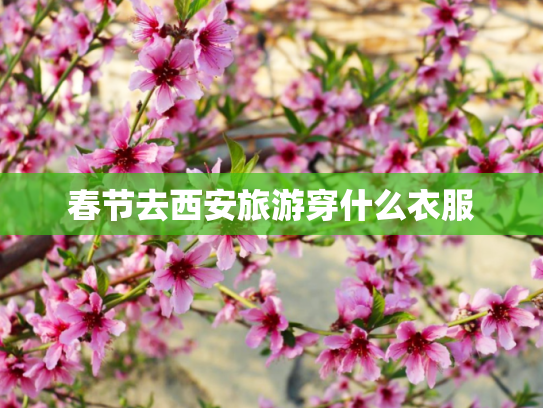 春节去西安旅游穿什么衣服