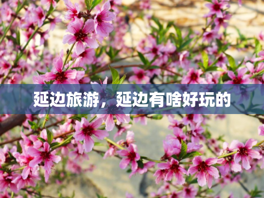 延边旅游，延边有啥好玩的