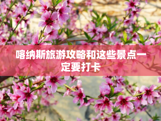 喀纳斯旅游攻略和这些景点一定要打卡