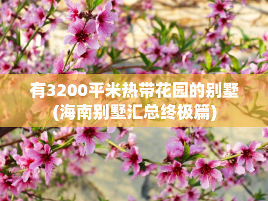 有3200平米热带花园的别墅(海南别墅汇总终极篇)