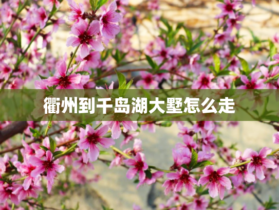 衢州到千岛湖大墅怎么走