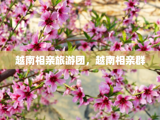 越南相亲旅游团，越南相亲群