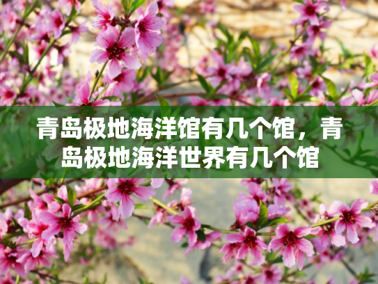 青岛极地海洋馆有几个馆，青岛极地海洋世界有几个馆